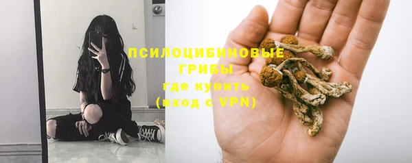 ALPHA PVP Алексин