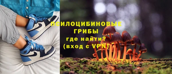 ALPHA PVP Алексин