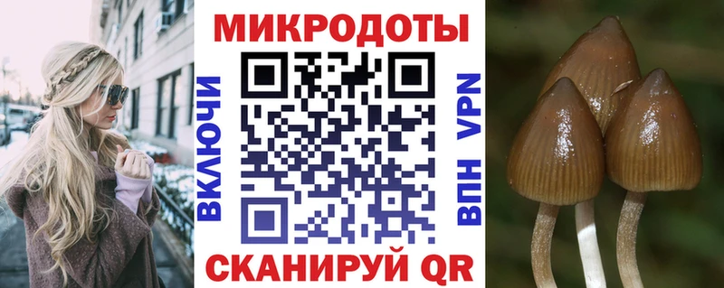 что такое   Нарьян-Мар  ОМГ ОМГ как войти  Галлюциногенные грибы GOLDEN TEACHER 