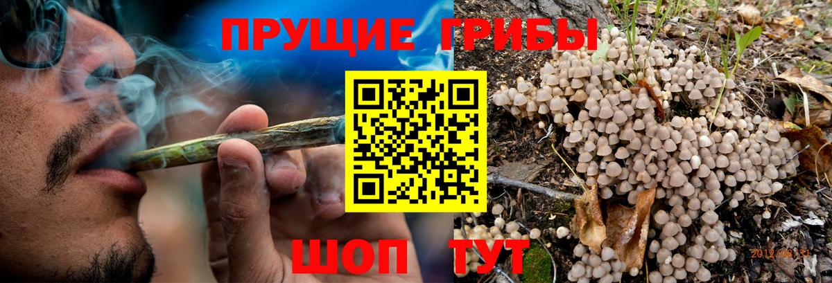 Псилоцибиновые грибы прущие грибы  Вход с VPN  Нарьян-Мар 
